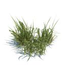bunch-of-grass-3d-model-obj